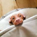 Therapie bei Epilepsie-Beitrag-Bild