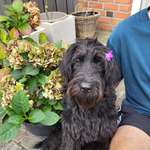 Ersteller:in Linda Profilbild