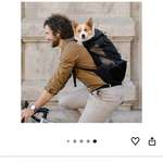 Hunderucksack-Beitrag-Bild