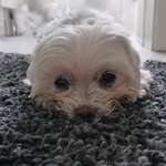 Ersteller:in Christian Profilbild