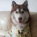 Ersteller:in Ümmü Profilbild