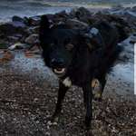 Ersteller:in Frieda Profilbild