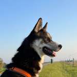 Ersteller:in Yannick Profilbild