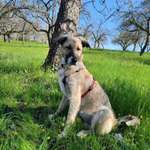 Ersteller:in Silvia Profilbild