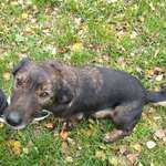 Ersteller:in Julia Profilbild