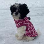 Ersteller:in Vera Profilbild