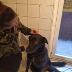 Ersteller:in Melody Profilbild