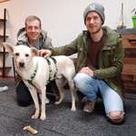 Ersteller:in Tobias Profilbild