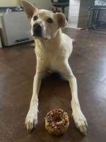 So viele Haare - ist das normal?-Beitrag-Bild