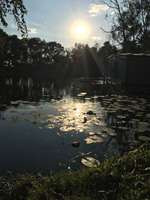 Hundeauslaufgebiet-An der Uecker-Bild