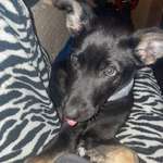 Ersteller:in Anicia Profilbild