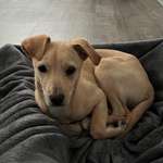 Ersteller:in Lea Profilbild