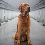 Ersteller:in Michael & Jeanette Profilbild