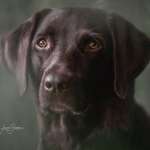 Ersteller:in Shirin Profilbild