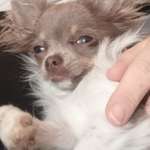 Ersteller:in Franziska Profilbild