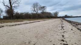 Hundeauslaufgebiet-Hundestrand Wolenberger Wiek-Bild
