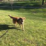 Ersteller:in Marvin Profilbild