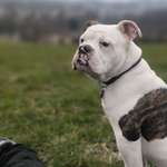 Ersteller:in Robin Profilbild