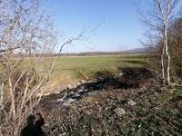 Hundeauslaufgebiet-Schallstadt-Bild