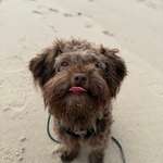 Ersteller:in Kati Profilbild