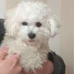 Ersteller:in Hajdi Boplo Profilbild