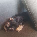 Ersteller:in Meike Profilbild