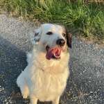 Ersteller:in Milena Profilbild