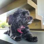 Ersteller:in Marlene Profilbild