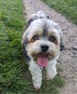 Ersteller:in Ulrike Profilbild