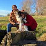 Ersteller:in Lisanne Profilbild