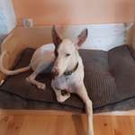 Ersteller:in Beate Profilbild