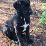 Ersteller:in Marina Profilbild