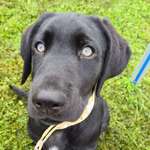 Ersteller:in Mareike Profilbild