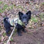 Ersteller:in Sidonie Profilbild