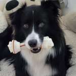 Ersteller:in Sonja Profilbild