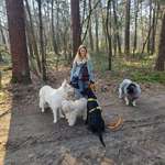 Ersteller:in Maike Profilbild