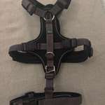 Fahrrad Anhänger, Geschirr & Halsband-Beitrag-Bild