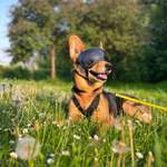 Ersteller:in Annika Profilbild