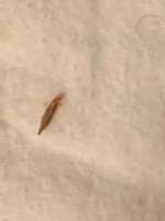 Grannen-Beitrag-Bild