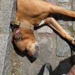 Ersteller:in Jasmien Profilbild