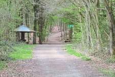 Hundeauslaufgebiet-Buchenberg-Bild