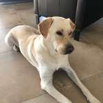 Ersteller:in Ulrike Profilbild