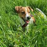 Ersteller:in Chris Profilbild