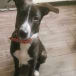 Ersteller:in Dagmar Profilbild