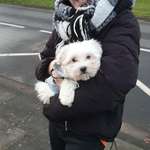 Ersteller:in Bettina Profilbild