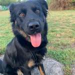 Ersteller:in Lisa Profilbild