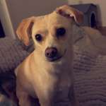 Ersteller:in Wiebke Profilbild