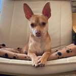 Ersteller:in Alya Profilbild