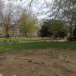 Hundeauslaufgebiet-Schillerplatz-Bild