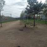 Hundeauslaufgebiet-Maurice-Ravel-Park-Bild